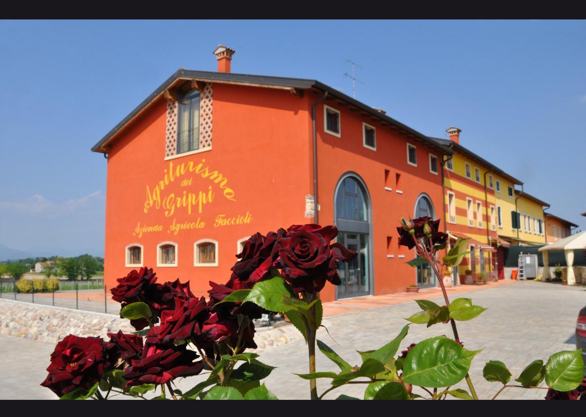 Agriturismo Dei Grippi Sona Dış mekan fotoğraf